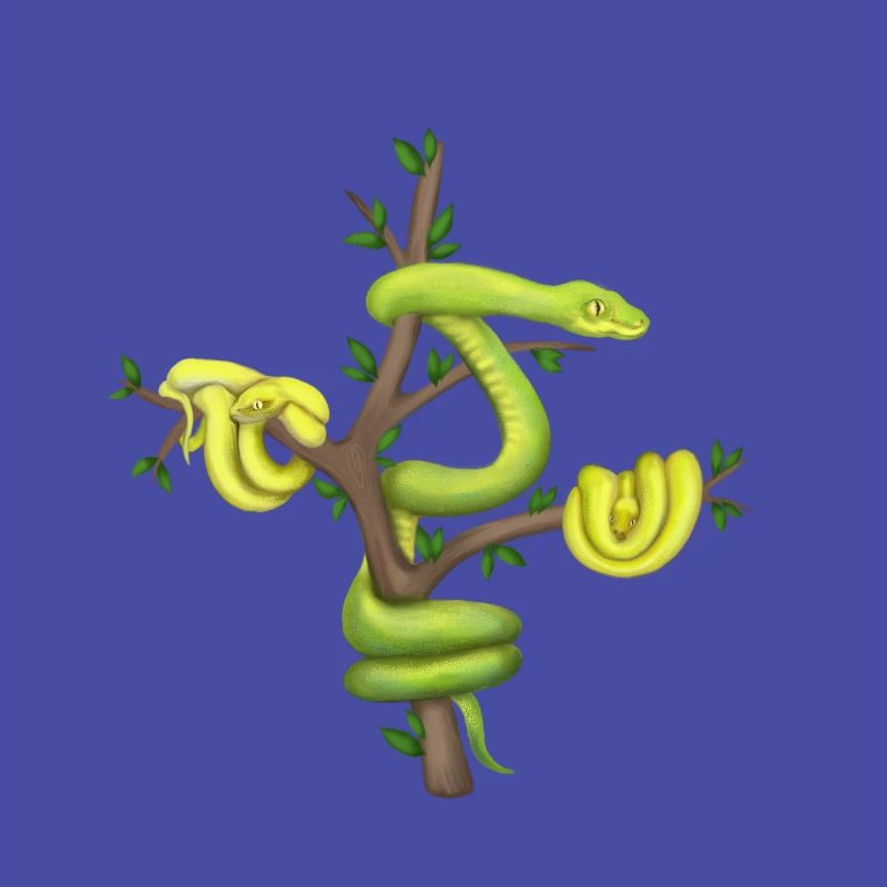 The Green Python - Tree Python