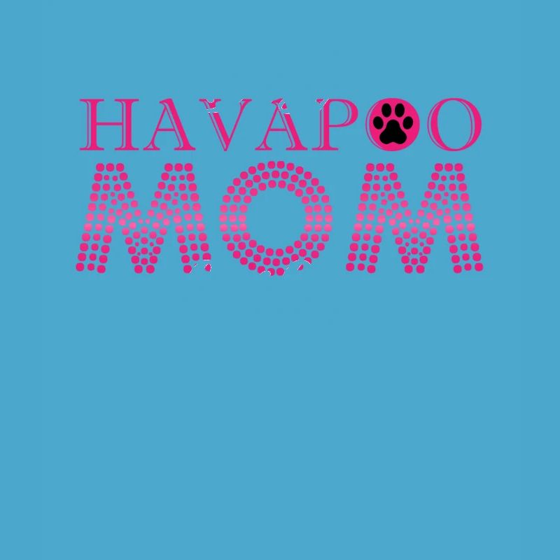 havapoo, havapoo havapoo himmel, Pudel Mischling,