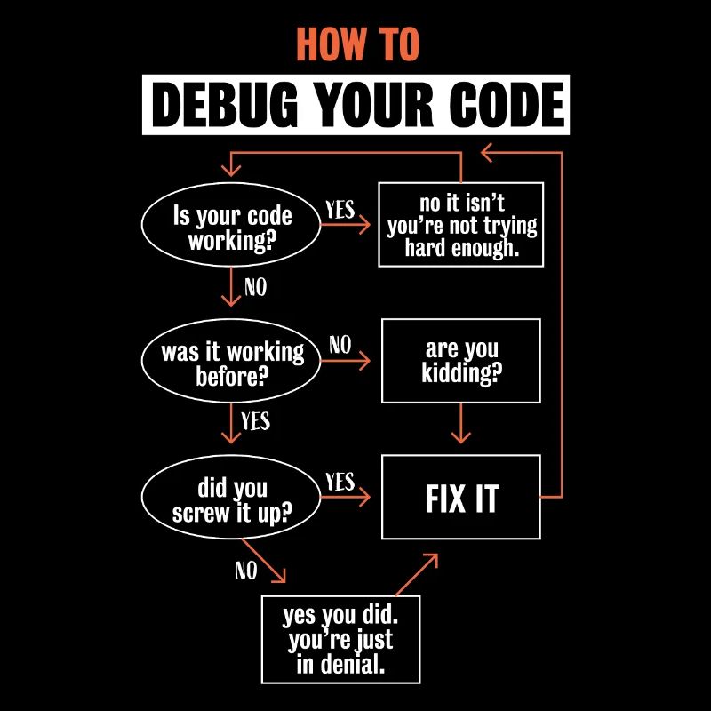 "How to debug your code" Funny Programmer Coding