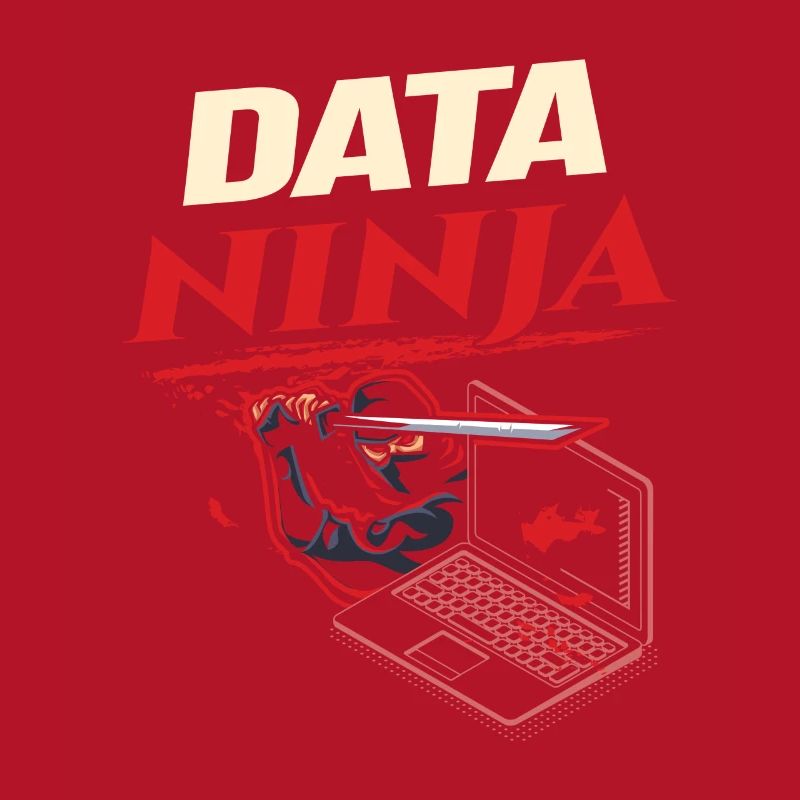 Data Ninja computer programming coder