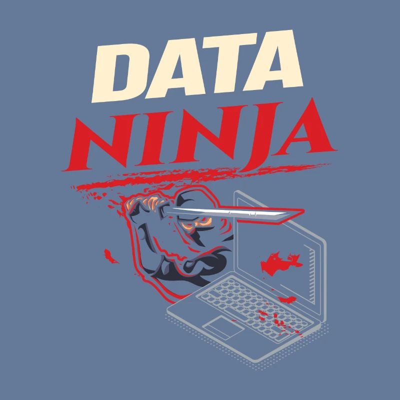 Data Ninja computer programming coder