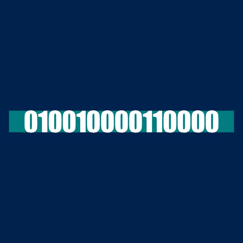 Binary Code Program Language