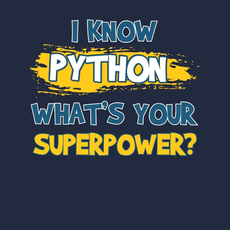 Programmer Python