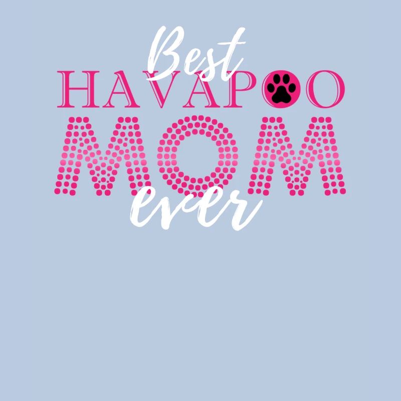 havapoo, havapoo havapoo himmel, Pudel Mischling,