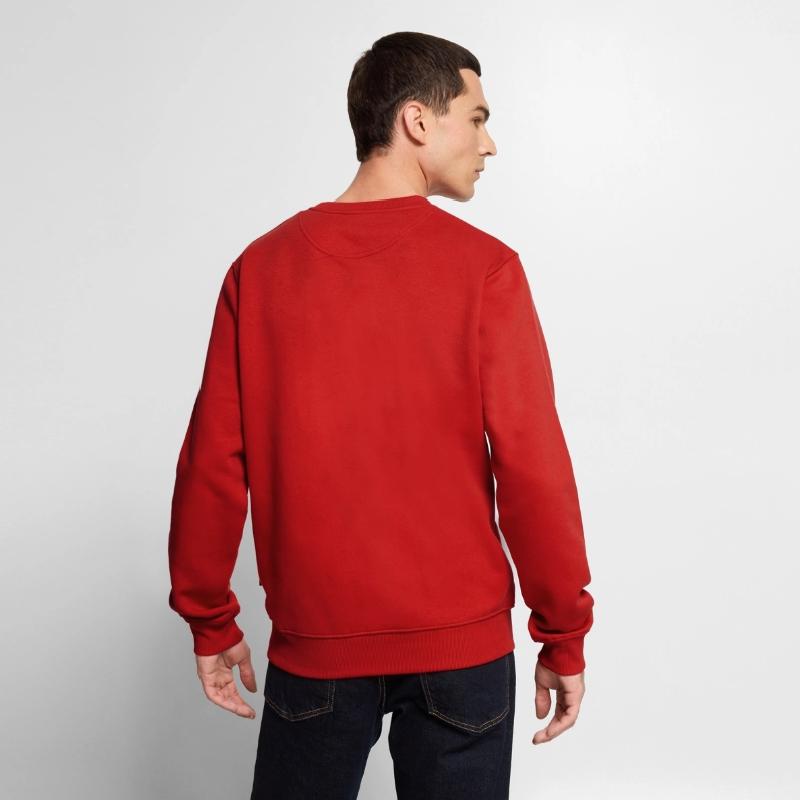 Pull Premium bio Homme