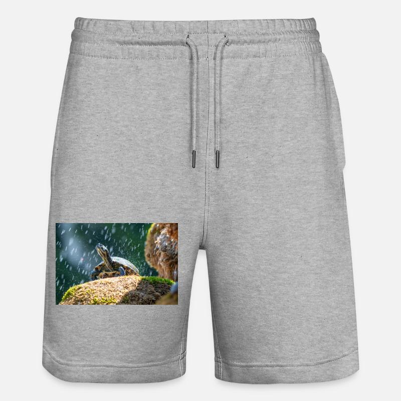 Trachemys scripta scripta scripta - Short de jogging bio TRAINER Stanley/Stella unisexe - gris chiné