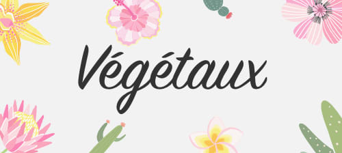 Preview Végétaux Contest