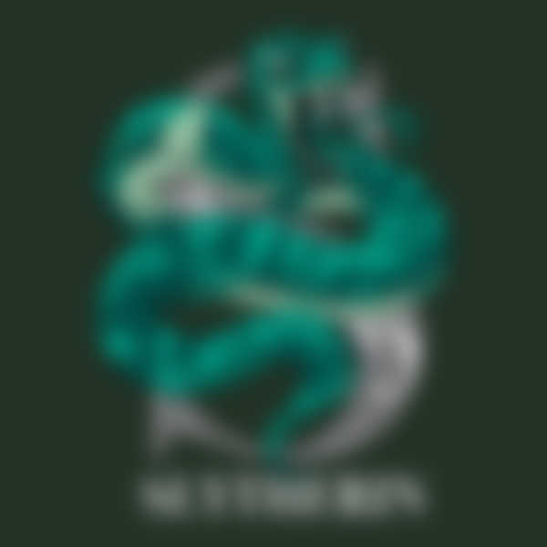 Slytherin-Logo vor dunkelgrünem Hintergrund
