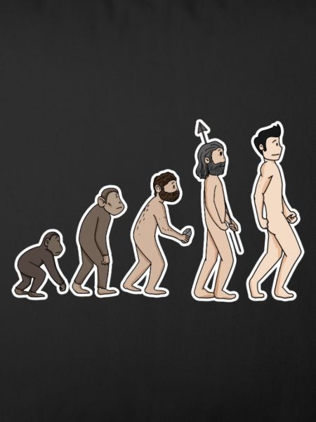 Evolution