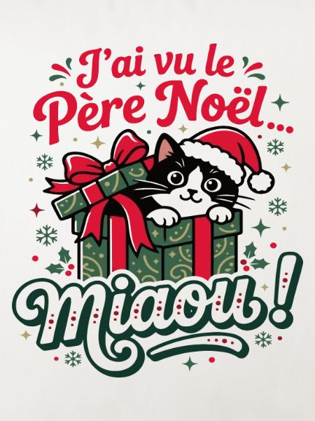 Katzen-Weihnachtsmann
