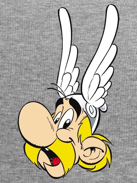 Asterix & Obelix Portrait Astérix 