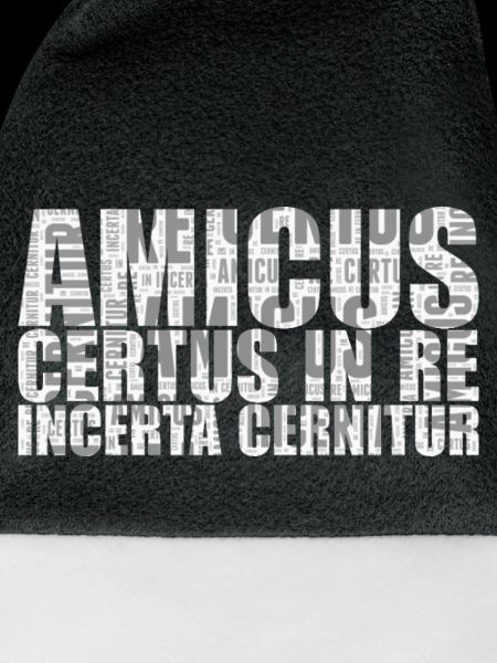 Amicus certus in re incerta cernitur