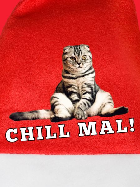 Katze Chill mal