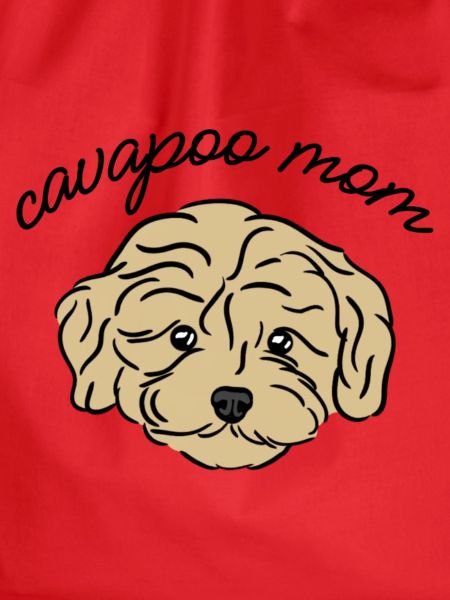 cavapoo mom