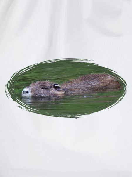 Nutria Biber Biberratte Wasserratte