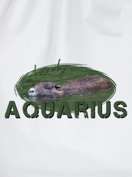 Wassermann Sternzeichen Wassermann Aquarius