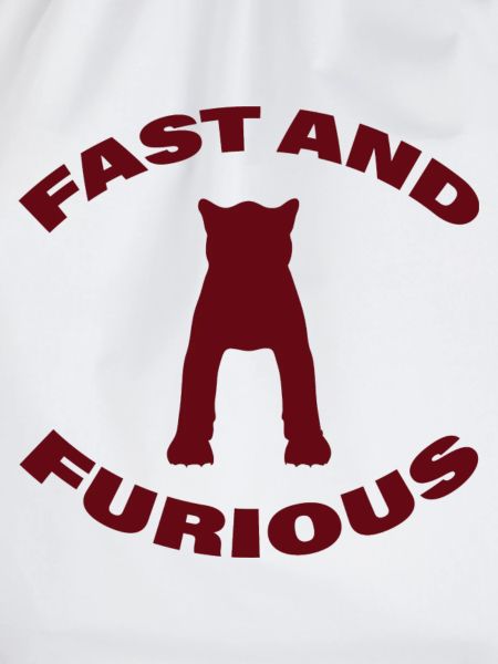 FAST