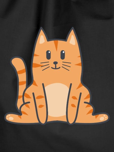 Katze Katzen Kitten