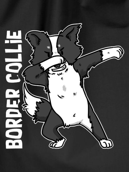Pfiffiger Border Collie Schafhüter