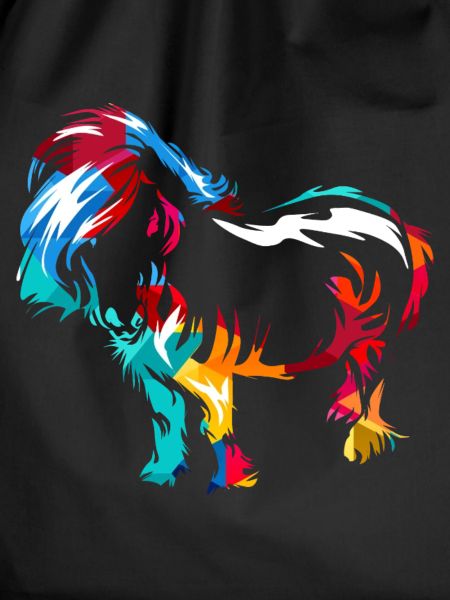 Robustes Shetlandpony Reitstallfreund