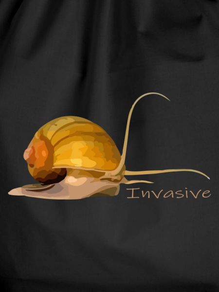 Apfelschnecke invasiv ?