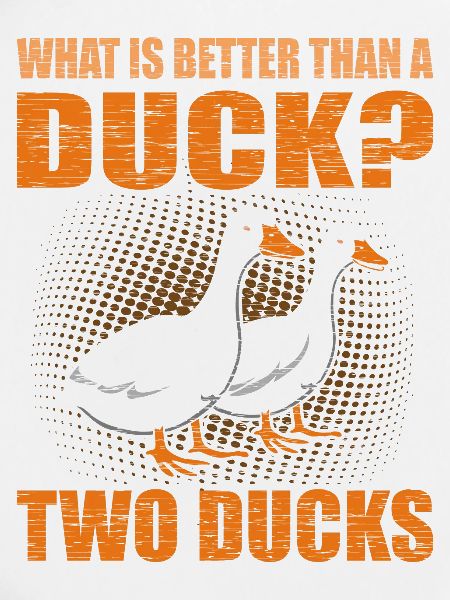 Ducks