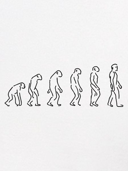 Evolution