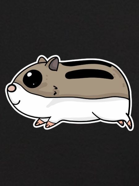 Hamster mignon
