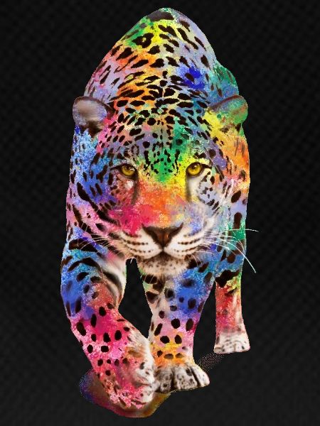 Multicolour leopard