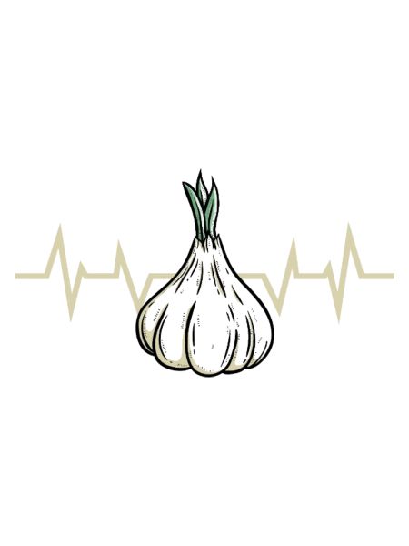 Knoblauch Pflanze