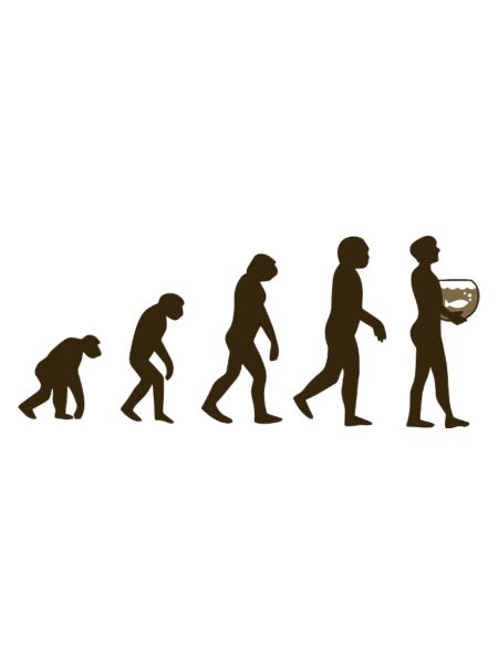Aquarium Evolution