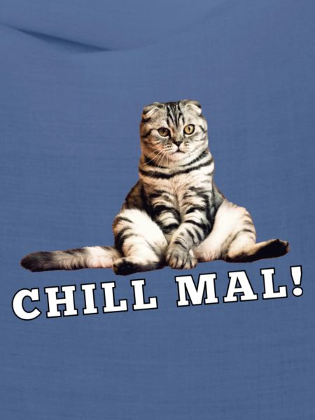 Katze Chill mal