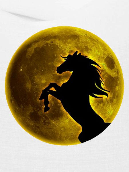 Vollmond Pferd