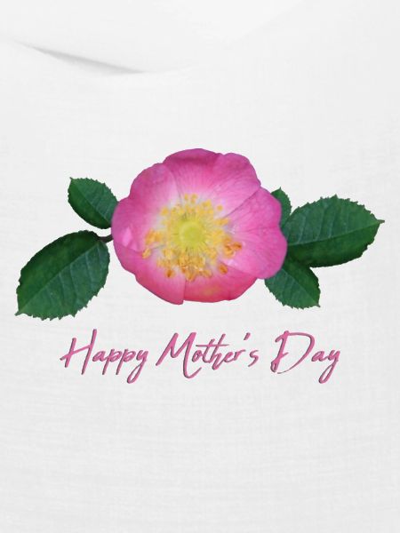 mothers day rose