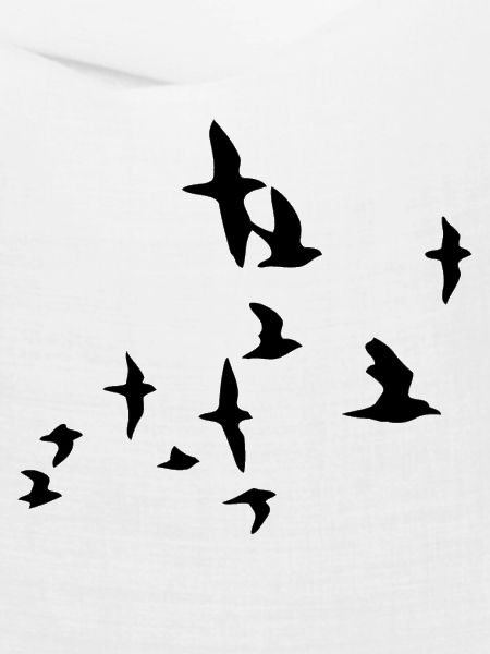 birds