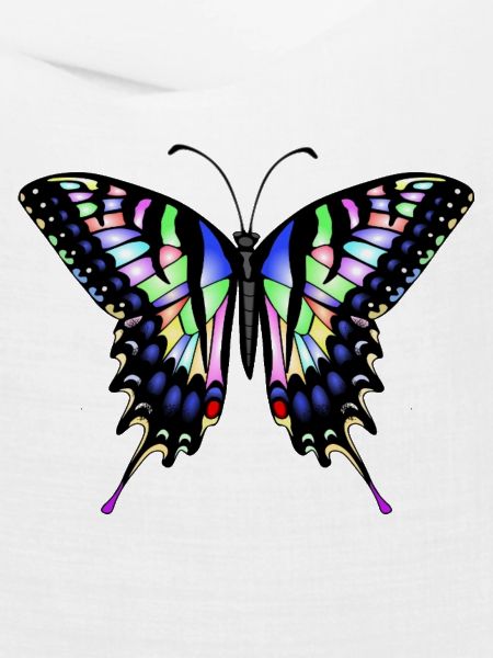 Schwalbenschwanz Schmetterling