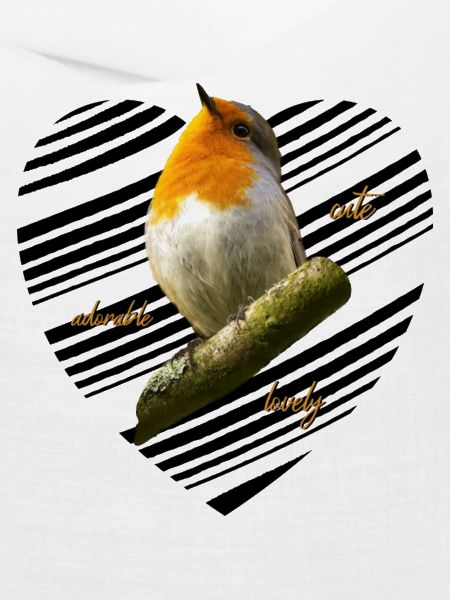 Rotkehlchen Singvogel