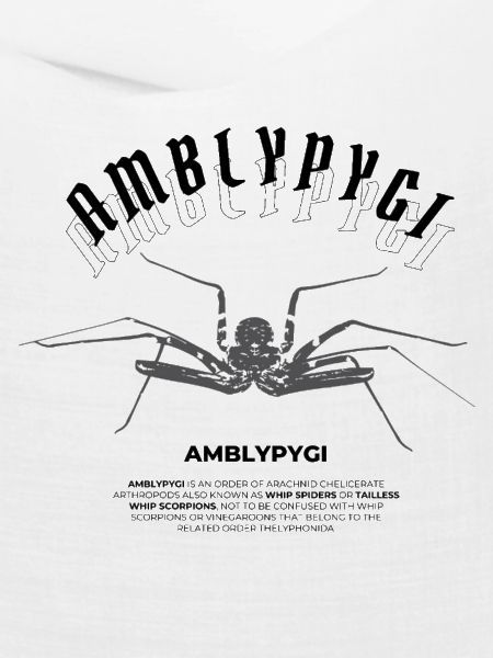 Geißelspinne - Amblypygi