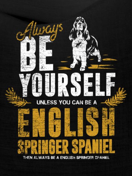 Flinker Springer Spaniel Stöberhund