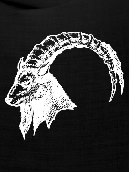 STEINBOCK