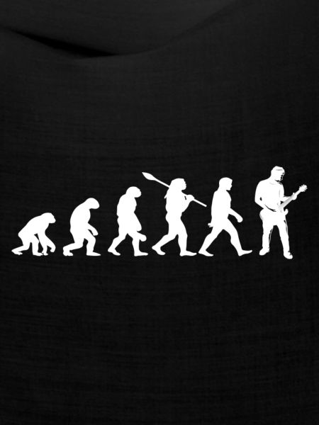 Evolution-Gitarrist