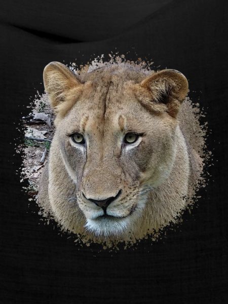 Löwin