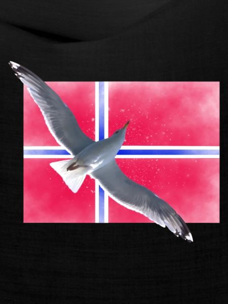Norwegen Norge