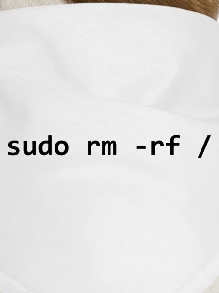 sudo rm rf