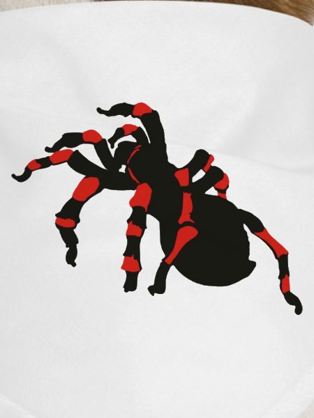 spinnen