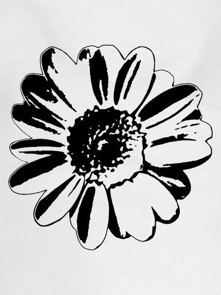 Flower Daisy