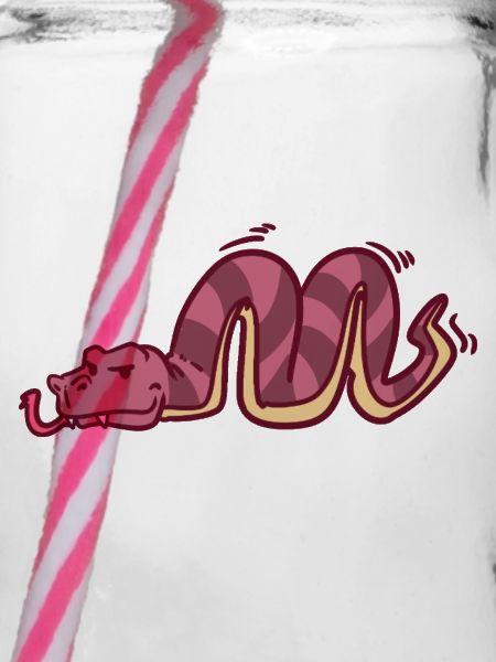 Geheimnisvolle Python Urwaldbewohner