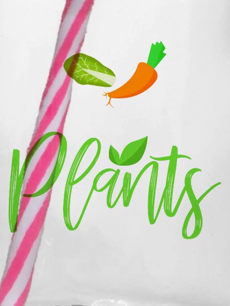 Vegan