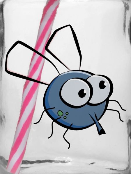 Fliege