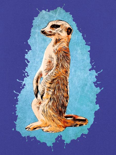 Erdmännchen - Blau
